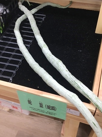 道の駅淡河で販売されている蛇豆(じゃとう)