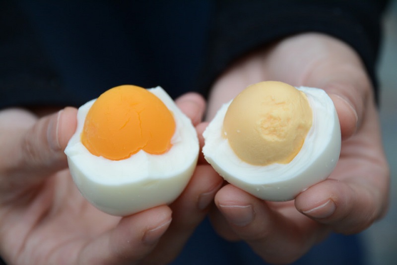 湯村温泉でつくった温泉卵と家庭で作ったゆで卵の色の違い